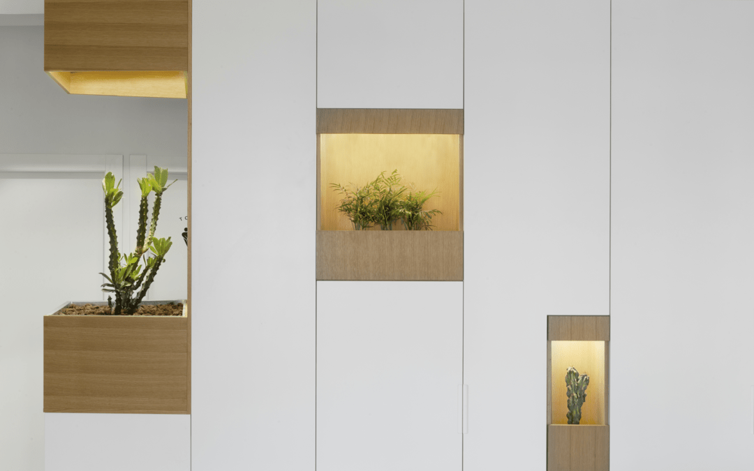 La Natruraleza Llega al Ahogar de la Manera más Original