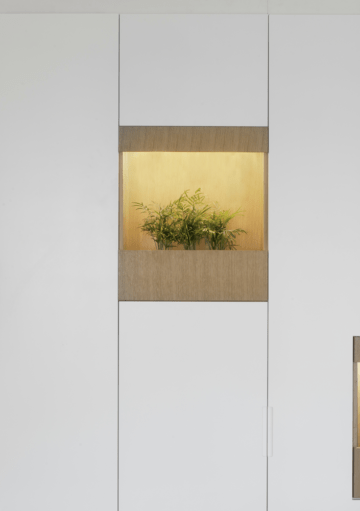 La Natruraleza Llega al Ahogar de la Manera más Original