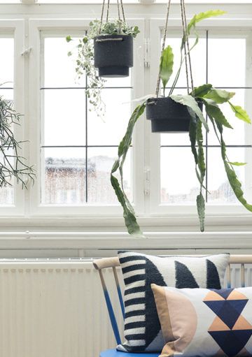 Maceteros Colgantes para Crear Ambientes Frescos y Naturales en Casa