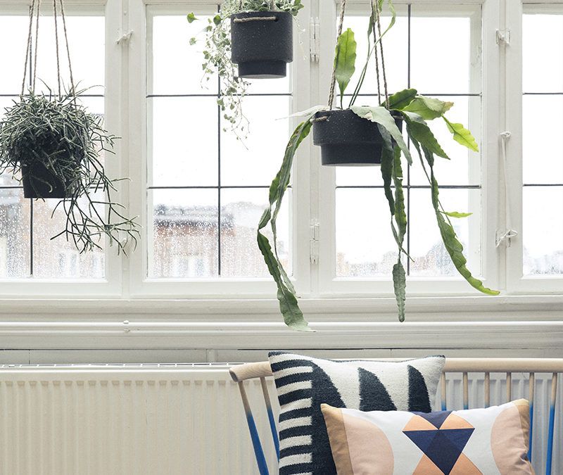 Maceteros Colgantes para Crear Ambientes Frescos y Naturales en Casa