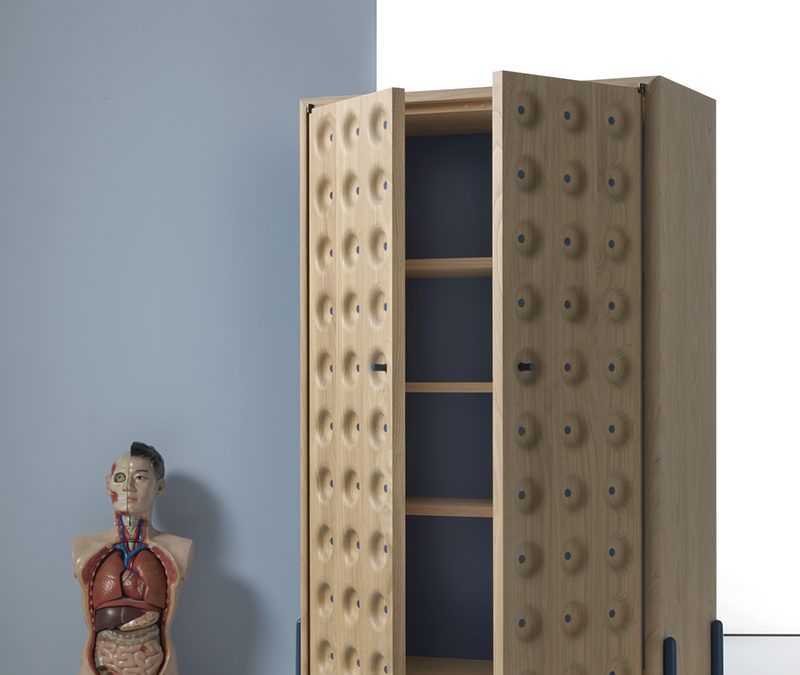 Un Singular Armario Ideal para Dormitorios Juveniles