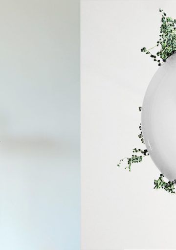 Una Lámpara y Maceta Colgante, Dos en Uno