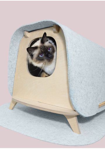 Un Arenero para Gatos y Viviendas Elegantes