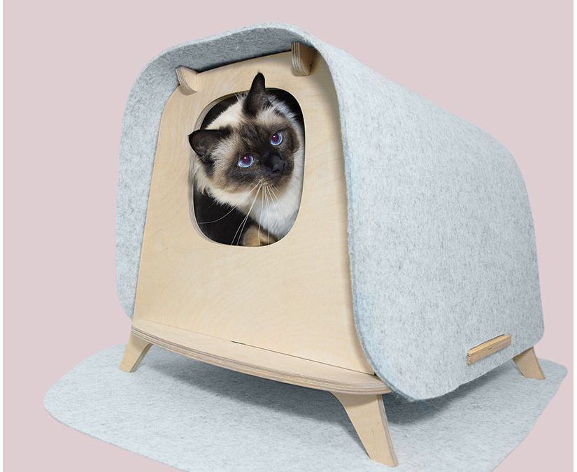 Un Arenero para Gatos y Viviendas Elegantes