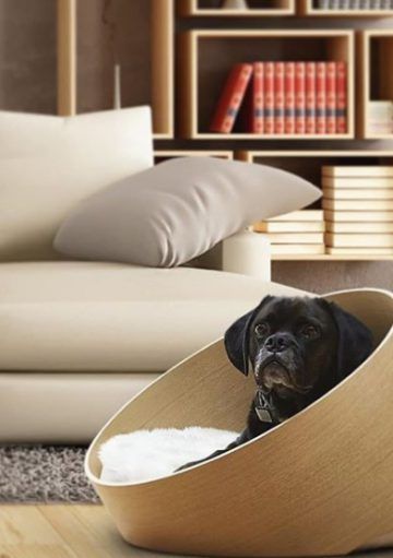 Hogar y Mascotas no Están Reñidos ¡Conoce estas Camas para Perros!