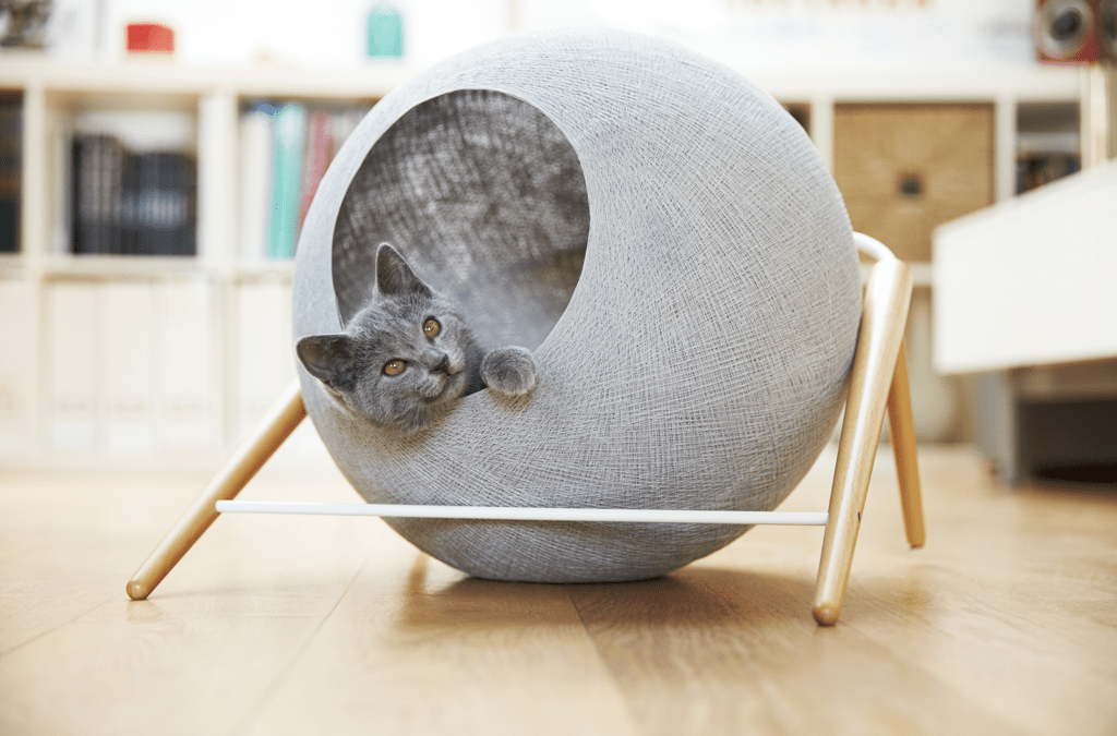 Cama para Gatos Ideal para el Diseño de Interiores de tu Hogar