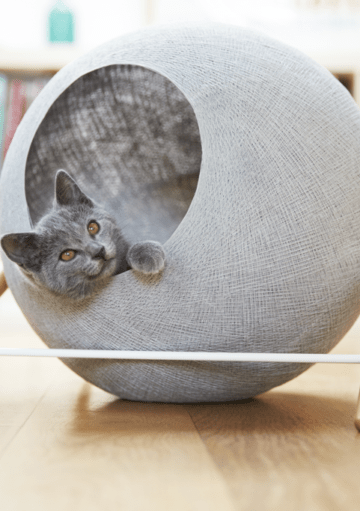 Cama para Gatos Ideal para el Diseño de Interiores de tu Hogar