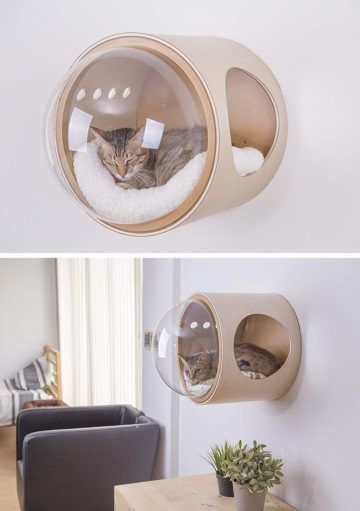 Confort para Gatos y Estilo en tu Hogar
