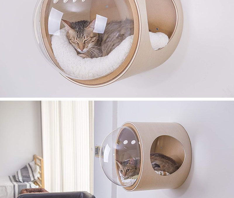 Confort para Gatos y Estilo en tu Hogar