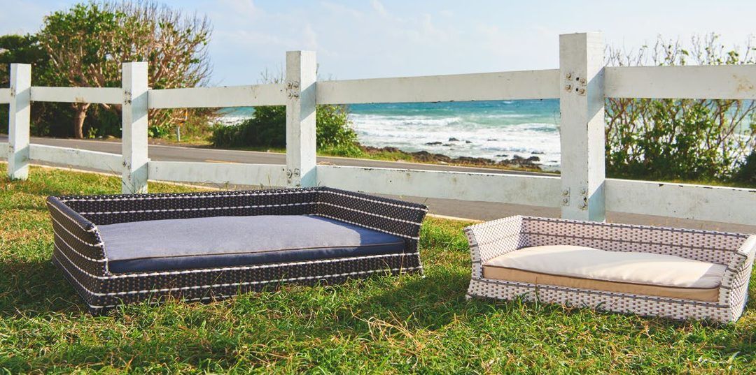 Camas para Perros con el Diseño más Exclusivo para el Hogar