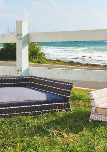 Camas para Perros con el Diseño más Exclusivo para el Hogar