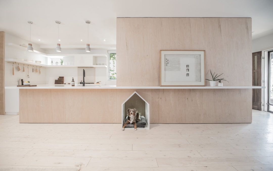 Cuando una Cama para Perros se Integra en el Diseño del Hogar