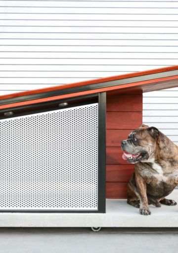 Una Casa para Perros con Diseño de Mini – Chalet