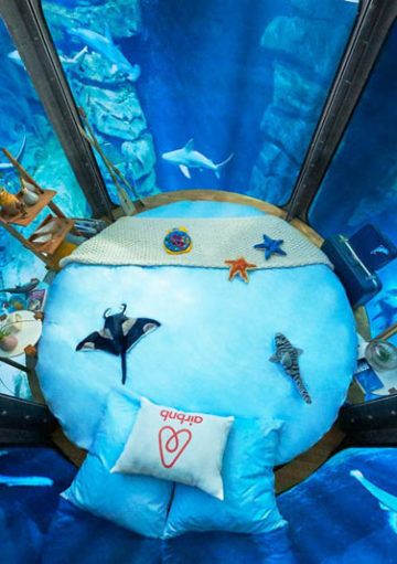 Durmiento Bajo el Agua con Tiburones, ¿Te Atreves?