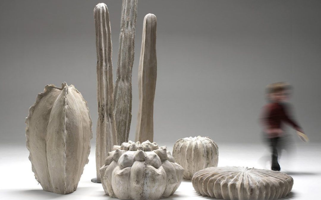 Decoración Inspirada en el Desierto Ideal para Espacios Únicos