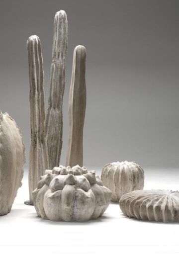 Decoración Inspirada en el Desierto Ideal para Espacios Únicos