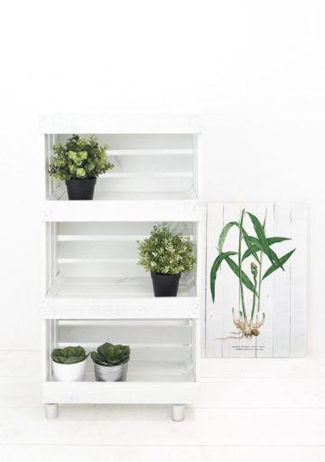 Cajas de Madera, un Must It en la Decoración de tu Hogar