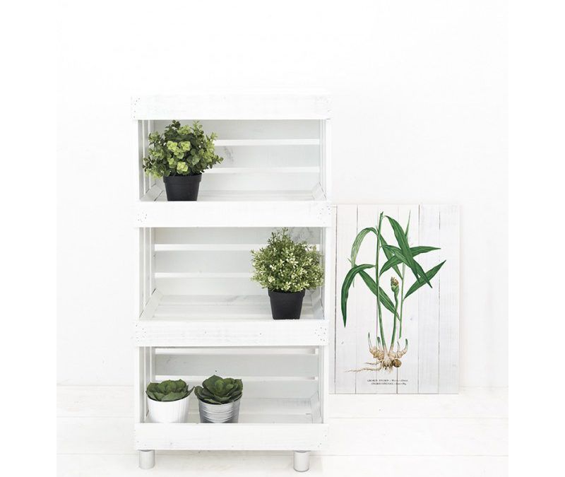 Cajas de Madera, un Must It en la Decoración de tu Hogar