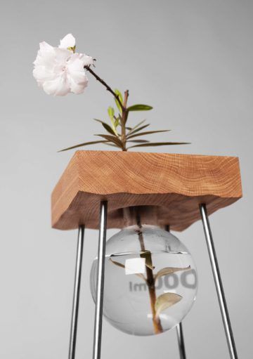 Un Florero con una Estructura muy Original