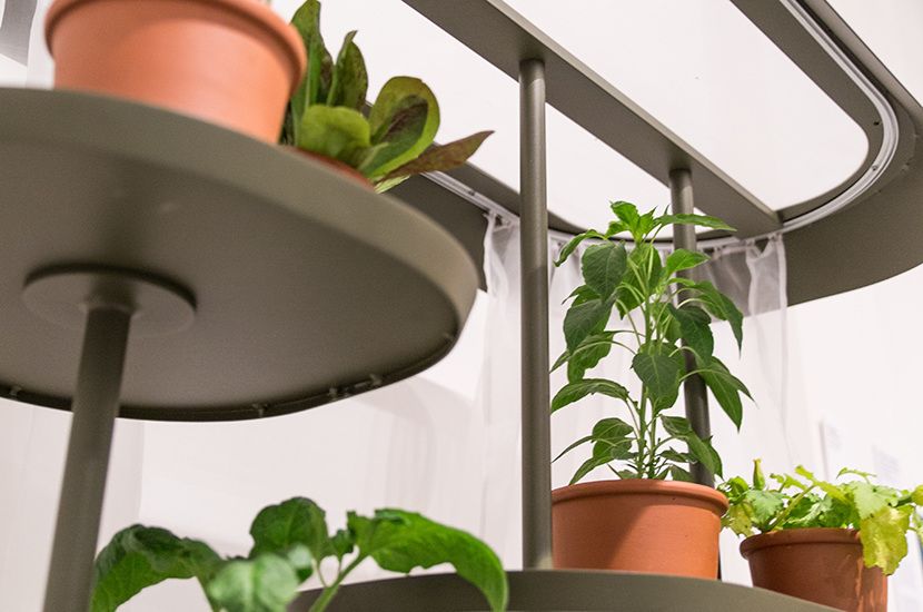 Flatpack, el Macetero Modular Ideal para Espacios de Interior