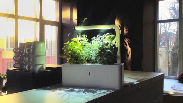 Un jardín inteligente en casa Un jardín inteligente en casa