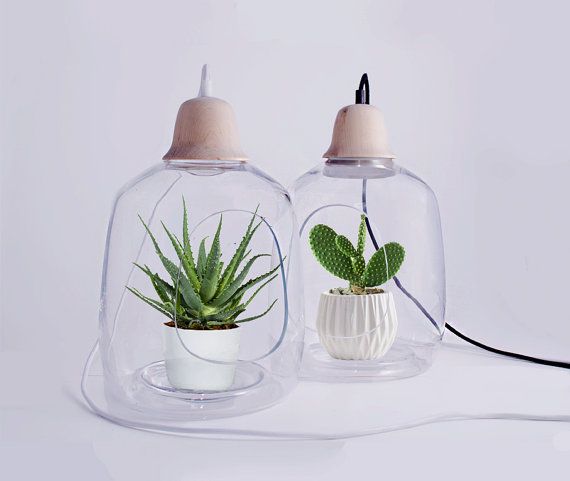 Iluminación y Plantas, una Combinación con mucho Estilo