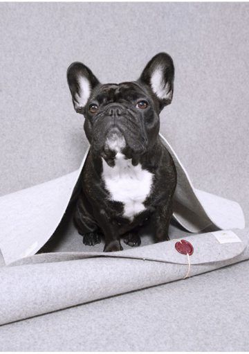 Alfombras elegantes para mascotas con estilo