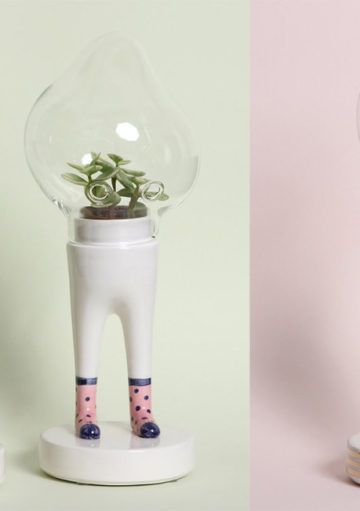 Terrarios de Escritorio para tus Plantas de Interior by Matteo Cibic