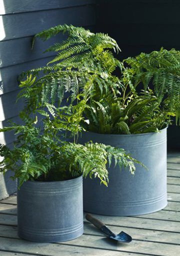 Tendencias en Decoración Outdoor para esta Temporada