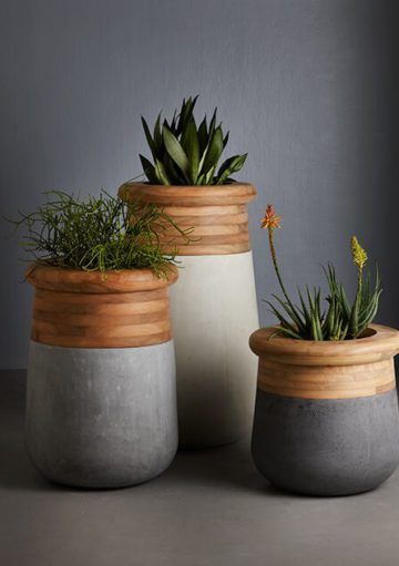 Maceteros de Diseño para Otorgar Frescura al Espacio