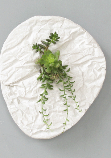 Decoración en la Pared con Motivos Naturales