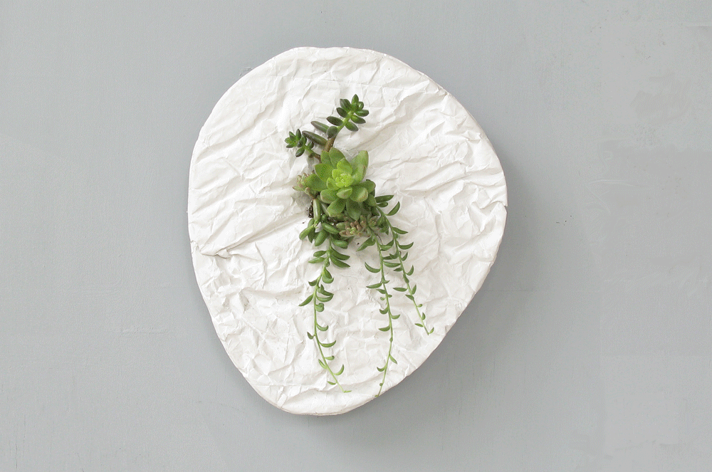 Decoración en la Pared con Motivos Naturales