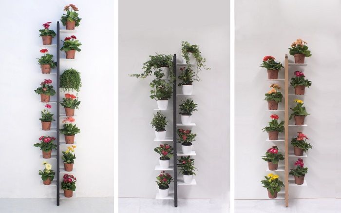 Una Estantería para Espacios Frescos y Verdes en Casa