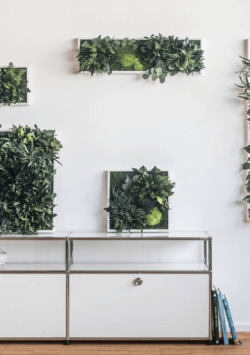 Jardines Verticales: Tendencia Natural en Decoración de Interiores