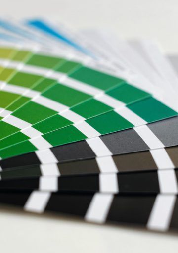 Paleta de Colores, Lo Ideal para Darle Vida a Tu Hogar