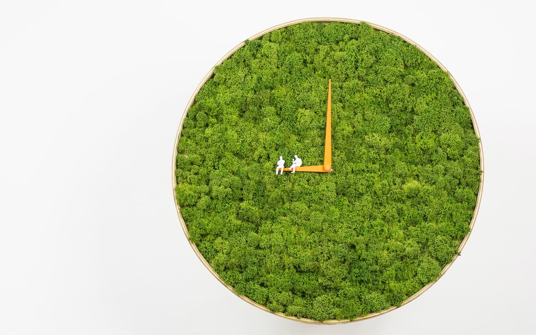 Decoración Natural en Casa: Un Reloj de Pared de Musgo