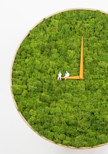 Decoración Natural en Casa: Un Reloj de Pared de Musgo