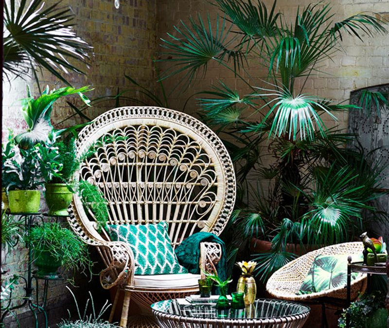 Pon una Silla Emmanuelle o Silla Pavo Real en tu Casa