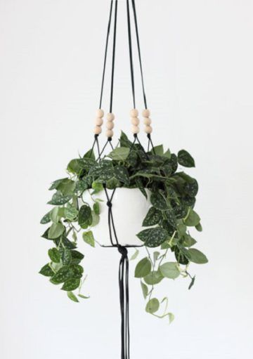 Tiestos Colgantes, un Must Have de la Decoración Actual