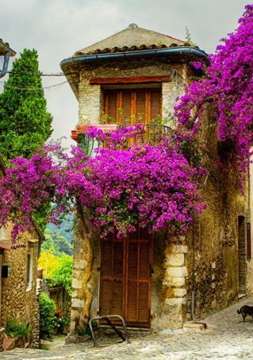 Un Dormitorio de Estilo Provenzal será tu Mejor Decisión