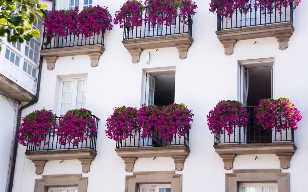 IDEAS PARA QUE TU TERRAZA LUZCA COMO NUNCA