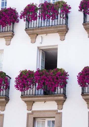 IDEAS PARA QUE TU TERRAZA LUZCA COMO NUNCA