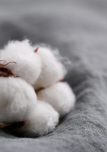 Algodón orgánico, la tendencia más sostenible