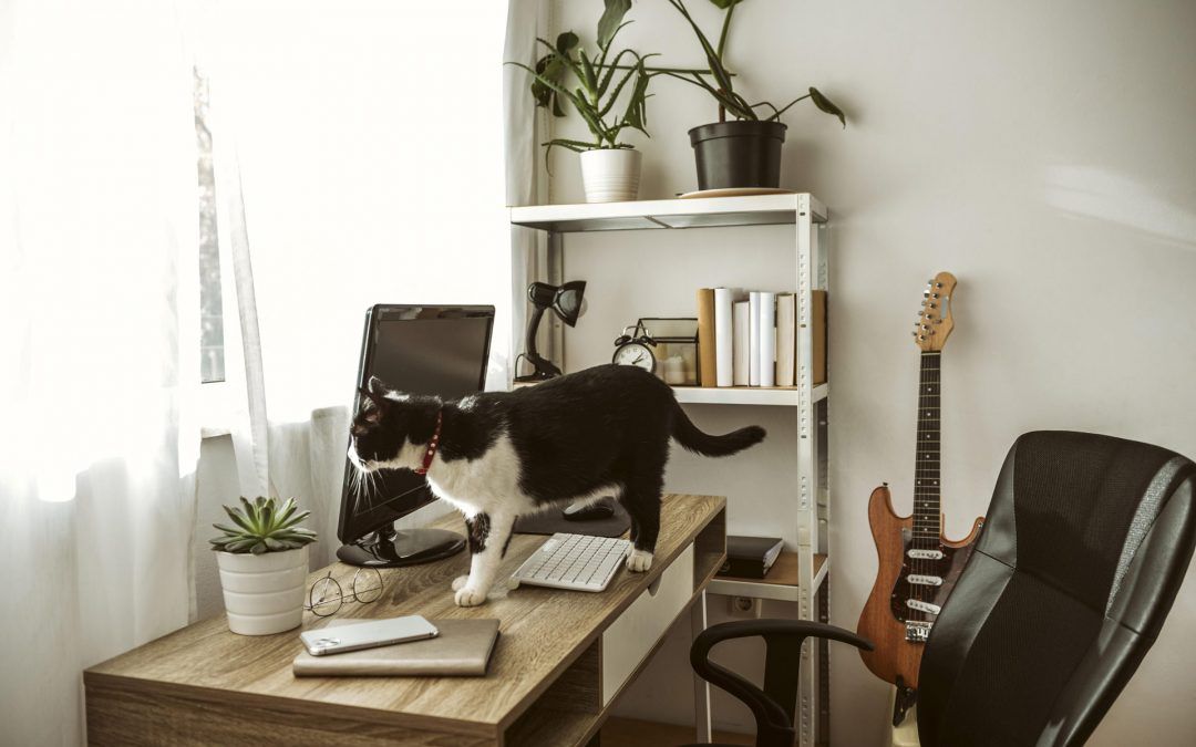 6 consejos para montar una oficina en casa