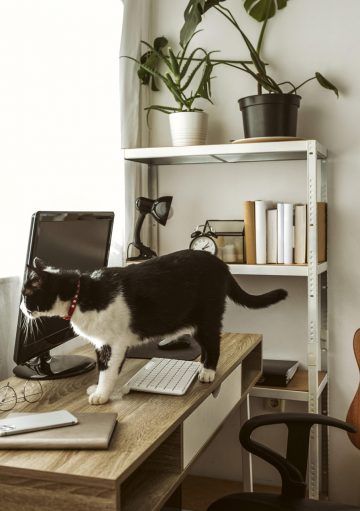 6 consejos para montar una oficina en casa